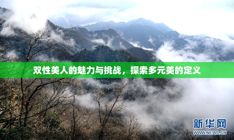 双性美人的魅力与挑战，探索多元美的定义