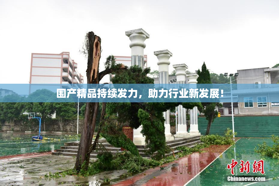围产精品持续发力，助力行业新发展！