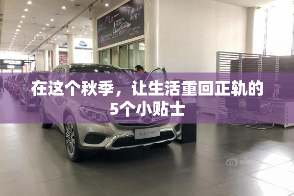 在这个秋季，让生活重回正轨的5个小贴士