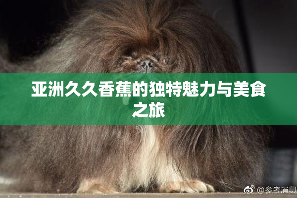 亚洲久久香蕉的独特魅力与美食之旅