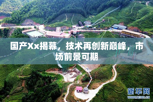 国产Xx揭幕，技术再创新巅峰，市场前景可期