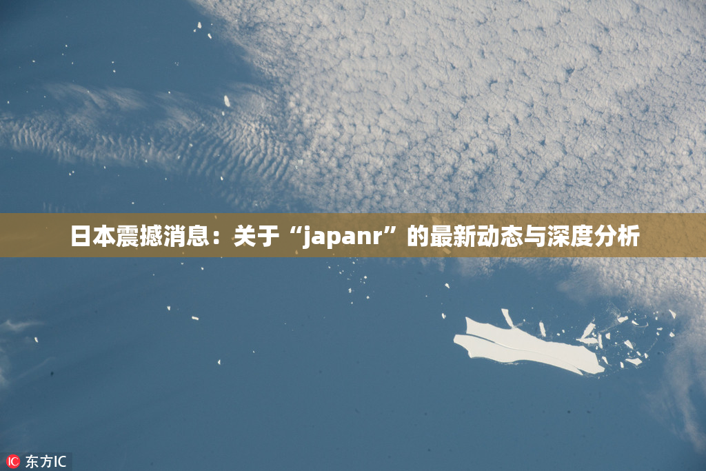 日本震撼消息：关于“japanr”的最新动态与深度分析