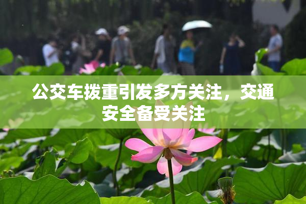 公交车拨重引发多方关注，交通安全备受关注