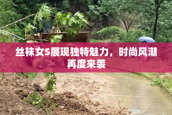 丝袜女S展现独特魅力，时尚风潮再度来袭