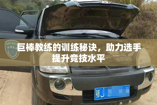 巨棒教练的训练秘诀，助力选手提升竞技水平