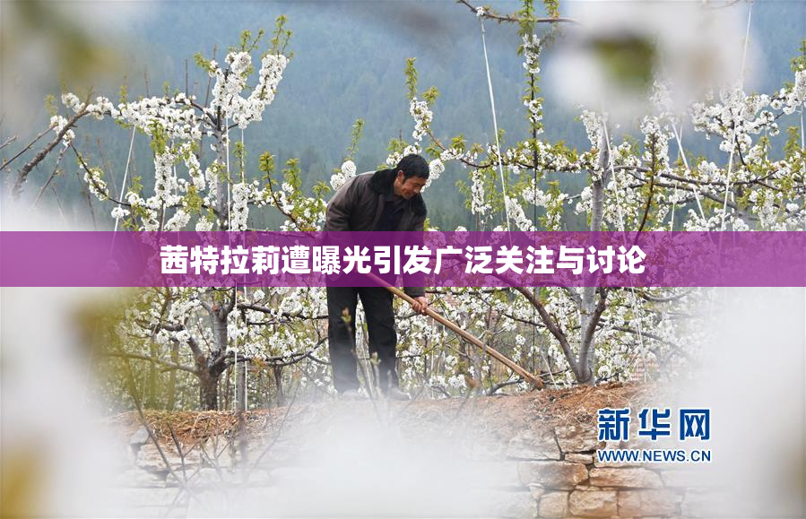 茜特拉莉遭曝光引发广泛关注与讨论