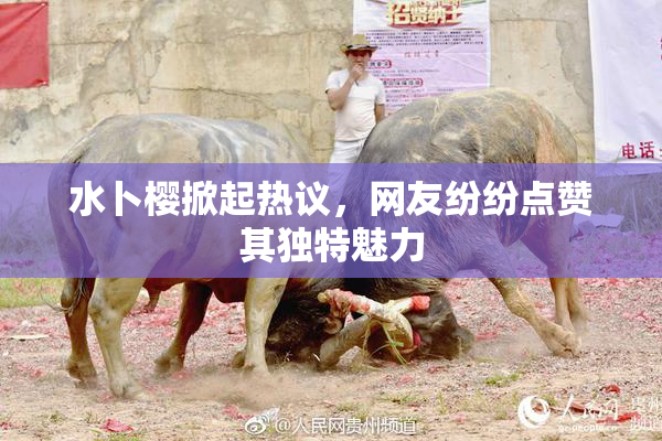 水卜樱掀起热议，网友纷纷点赞其独特魅力