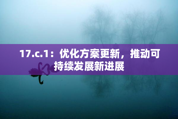 17.c.1：优化方案更新，推动可持续发展新进展