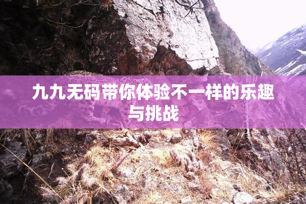 九九无码带你体验不一样的乐趣与挑战
