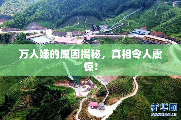 万人嫌的原因揭秘，真相令人震惊！