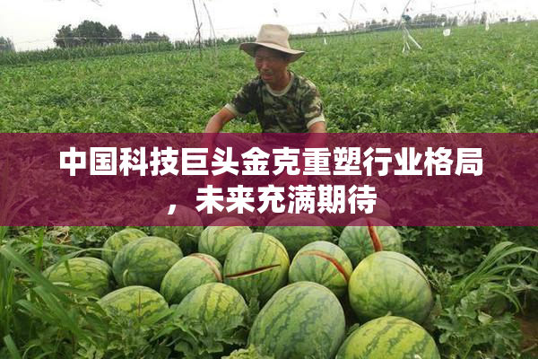 中国科技巨头金克重塑行业格局，未来充满期待