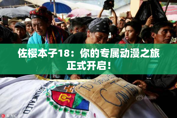 佐樱本子18：你的专属动漫之旅正式开启！
