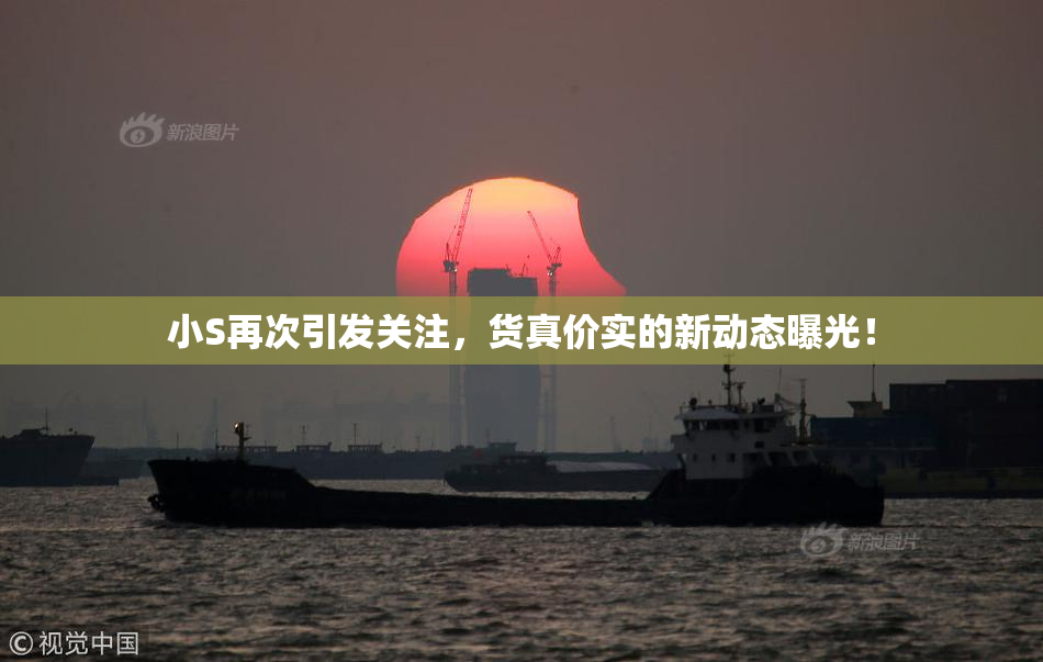 小S再次引发关注，货真价实的新动态曝光！