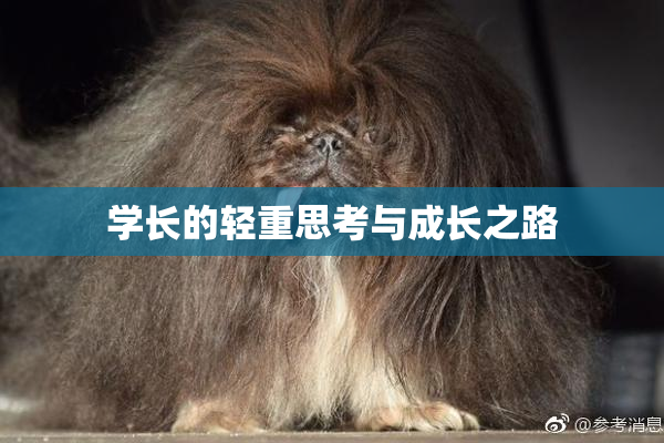 学长的轻重思考与成长之路