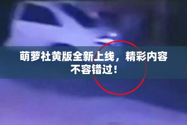 萌萝社黄版全新上线，精彩内容不容错过！