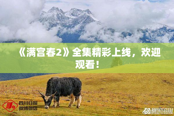 《满宫春2》全集精彩上线，欢迎观看！