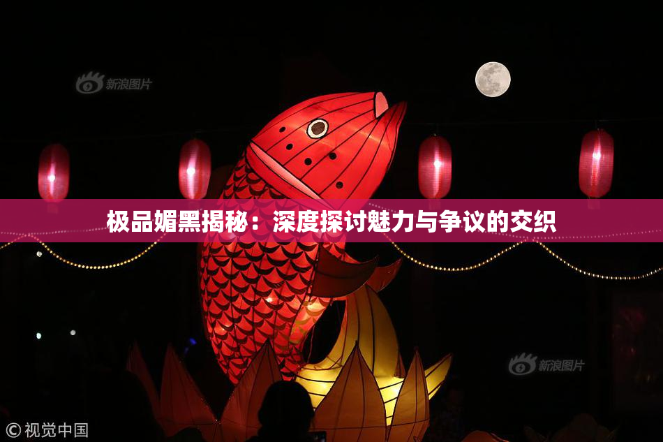 极品媚黑揭秘：深度探讨魅力与争议的交织