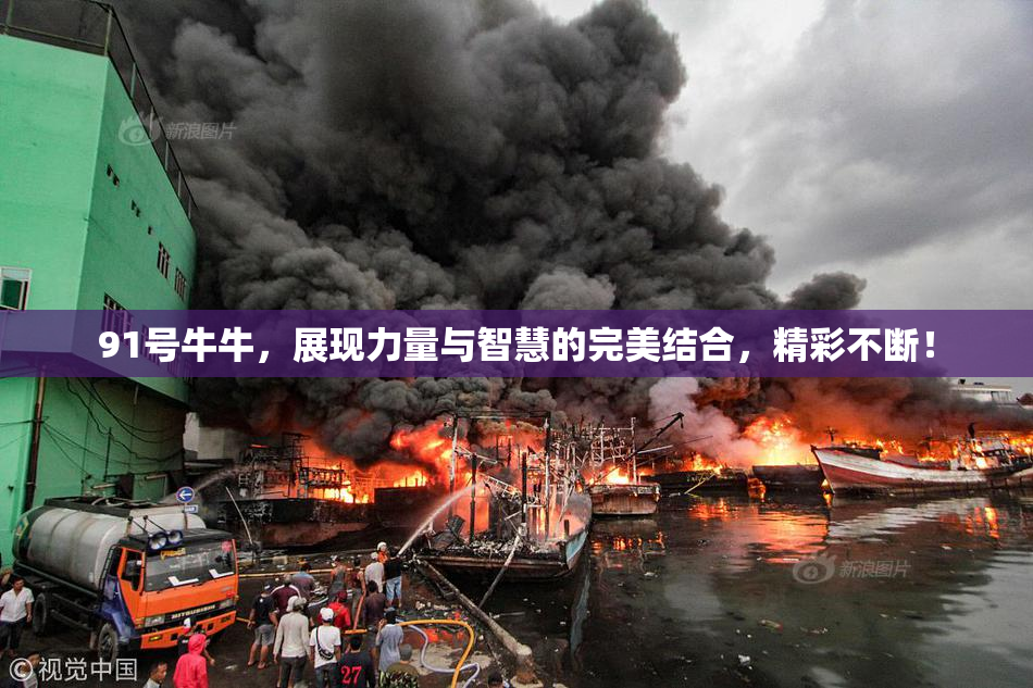 91号牛牛，展现力量与智慧的完美结合，精彩不断！