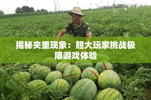 揭秘夹重现象：胆大玩家挑战极限游戏体验