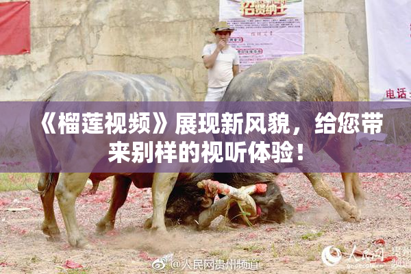 《榴莲视频》展现新风貌，给您带来别样的视听体验！