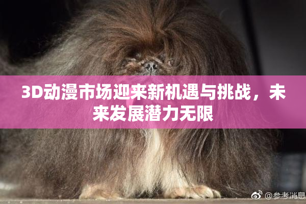 3D动漫市场迎来新机遇与挑战，未来发展潜力无限