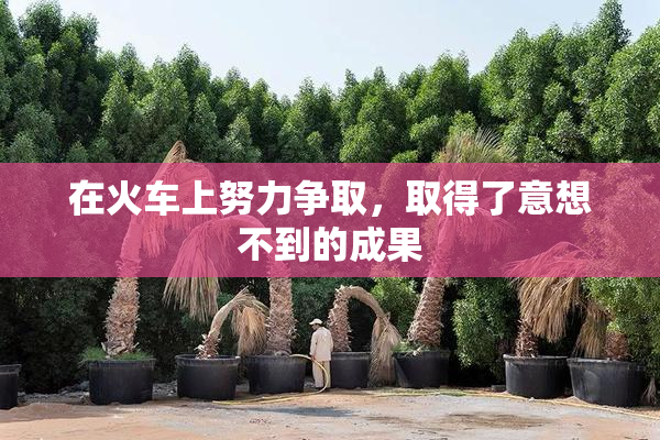 在火车上努力争取，取得了意想不到的成果