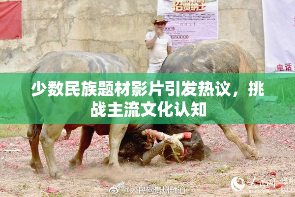 少数民族题材影片引发热议，挑战主流文化认知
