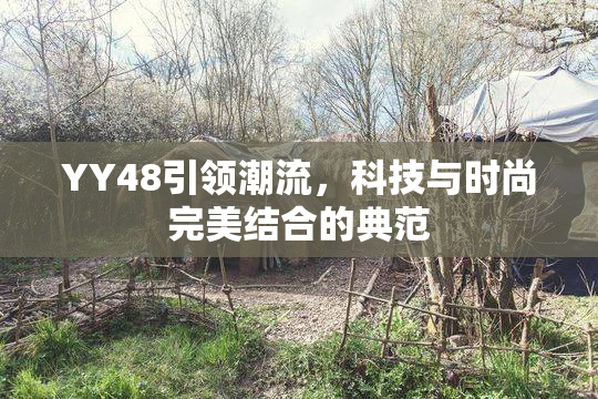 YY48引领潮流，科技与时尚完美结合的典范