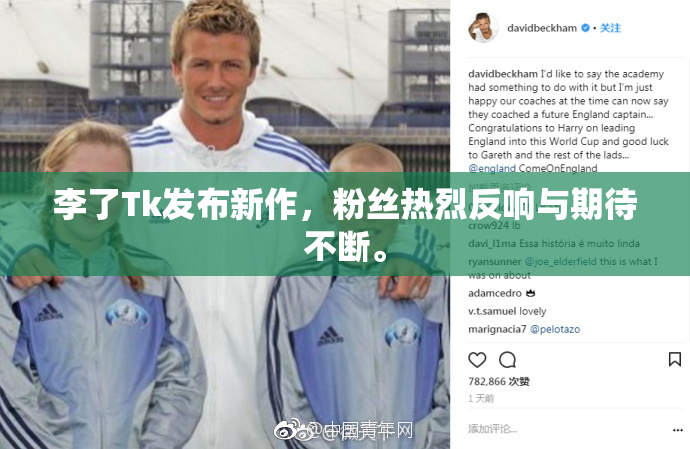 李了Tk发布新作，粉丝热烈反响与期待不断。