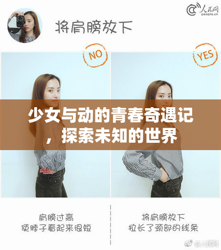 少女与动的青春奇遇记，探索未知的世界