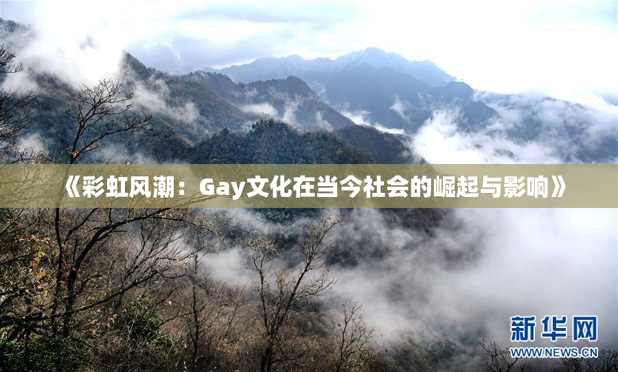 《彩虹风潮：Gay文化在当今社会的崛起与影响》
