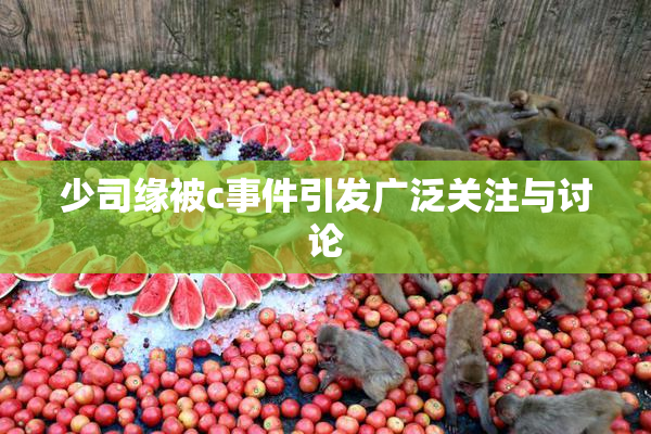 少司缘被c事件引发广泛关注与讨论