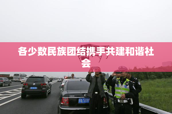 各少数民族团结携手共建和谐社会