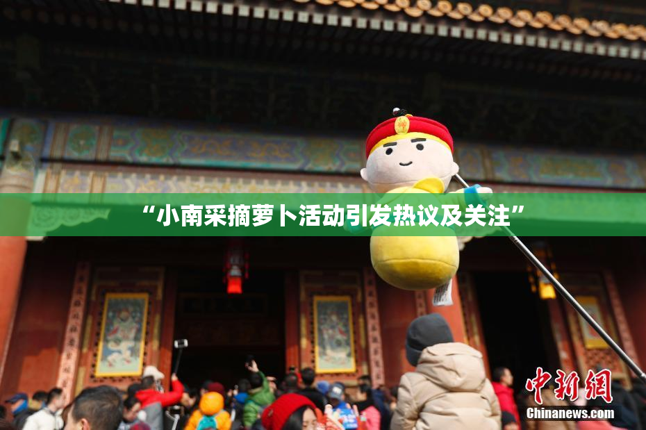 “小南采摘萝卜活动引发热议及关注”