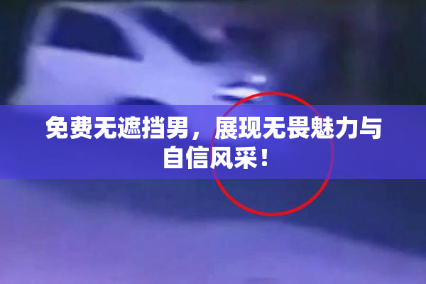 免费无遮挡男，展现无畏魅力与自信风采！