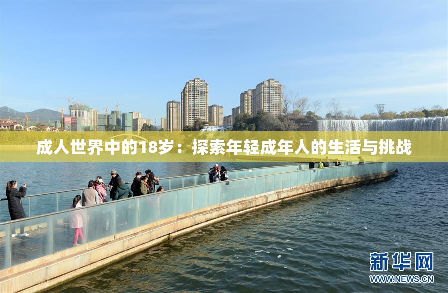 成人世界中的18岁：探索年轻成年人的生活与挑战