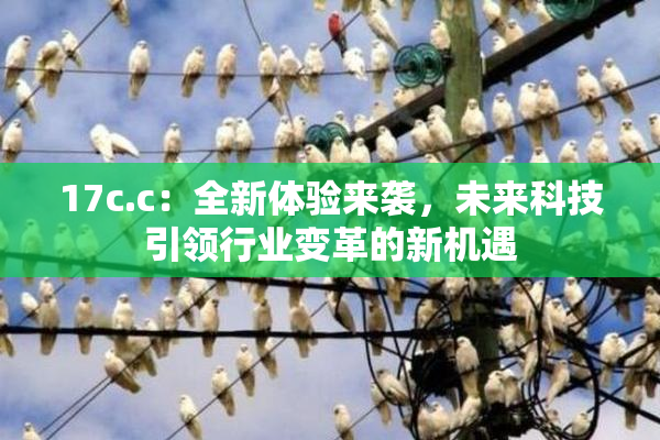 17c.c：全新体验来袭，未来科技引领行业变革的新机遇