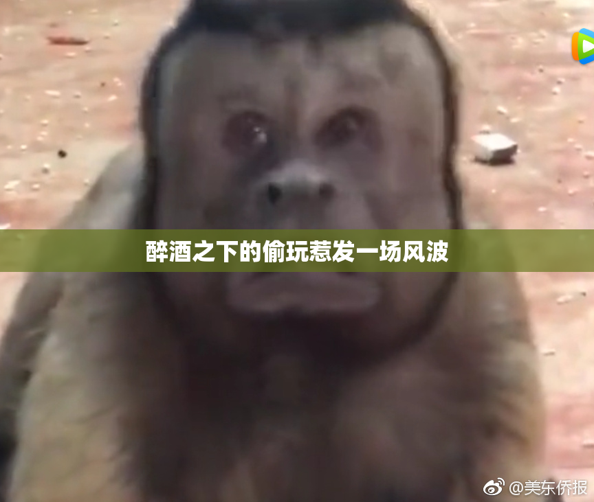 醉酒之下的偷玩惹发一场风波