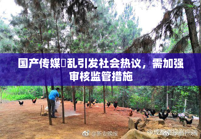 国产传媒婬乱引发社会热议，需加强审核监管措施