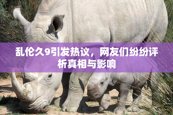 乱伦久9引发热议，网友们纷纷评析真相与影响