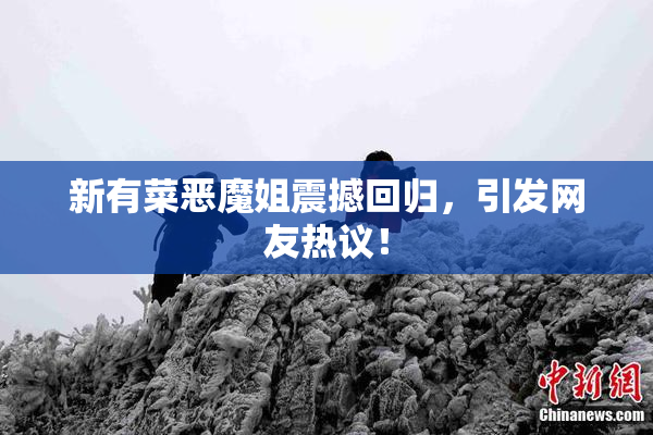 新有菜恶魔姐震撼回归，引发网友热议！