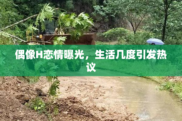 偶像H恋情曝光，生活几度引发热议