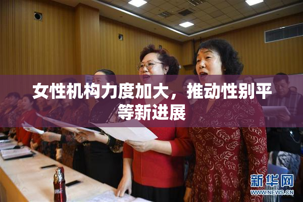 女性机构力度加大，推动性别平等新进展