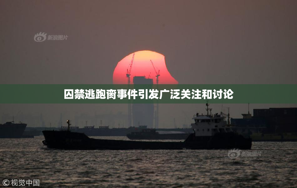 囚禁逃跑脔事件引发广泛关注和讨论