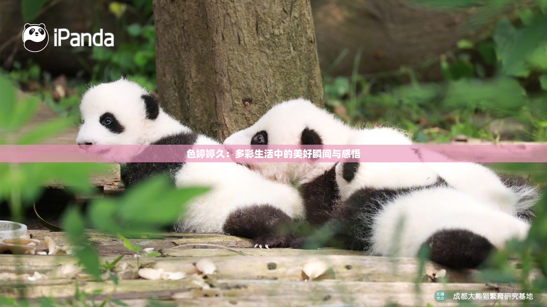 色婷婷久：多彩生活中的美好瞬间与感悟