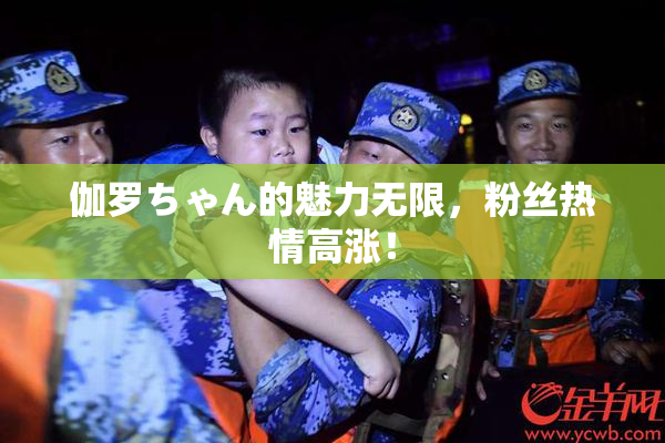 伽罗ちゃん的魅力无限，粉丝热情高涨！