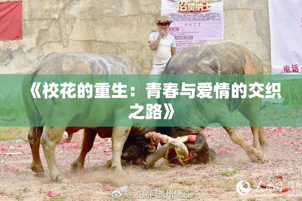 《校花的重生：青春与爱情的交织之路》