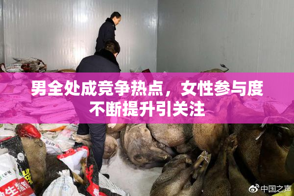 男全处成竞争热点，女性参与度不断提升引关注