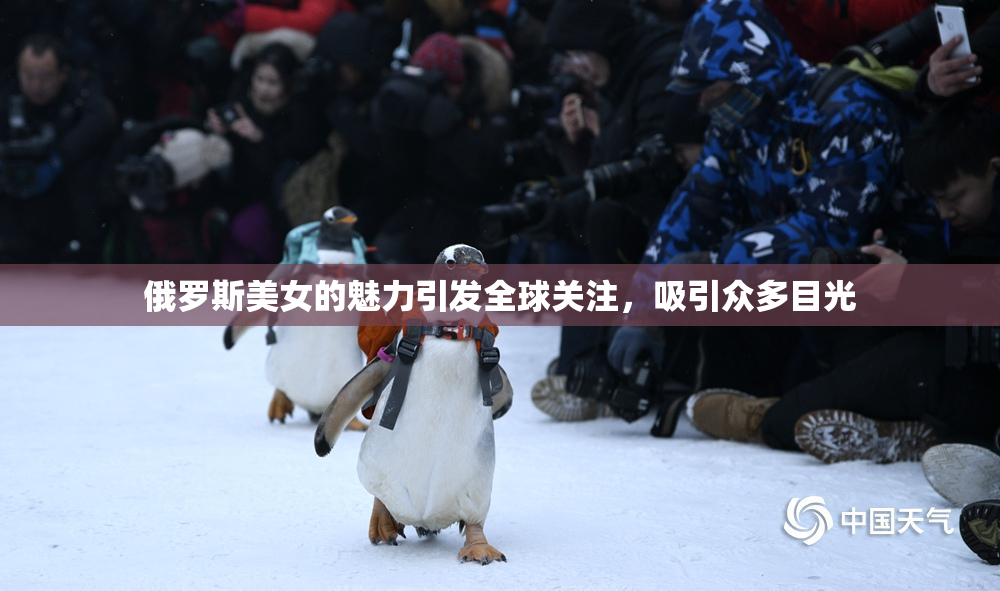 俄罗斯美女的魅力引发全球关注，吸引众多目光