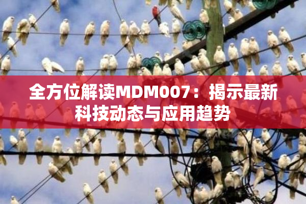 全方位解读MDM007：揭示最新科技动态与应用趋势